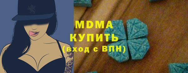 хмурый Аркадак