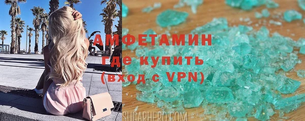 хмурый Аркадак
