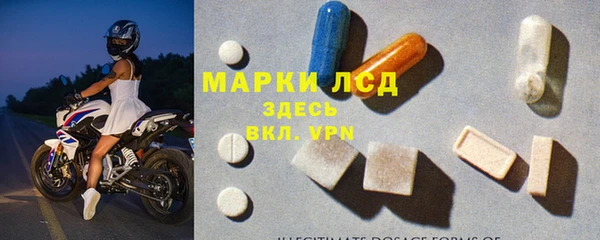 хмурый Аркадак