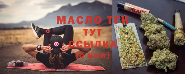хмурый Аркадак