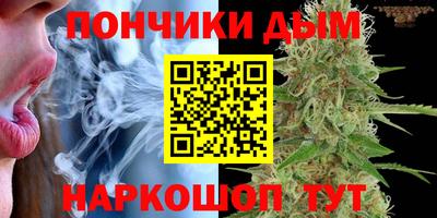 прущие грибы Славгород