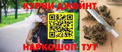 прущие грибы Славгород