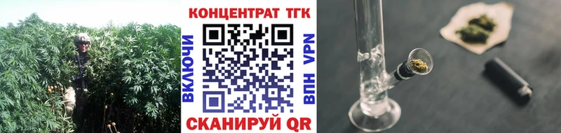 как найти закладки  Светлоград  ТГК гашишное масло 