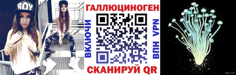 закладки  МЕГА зеркало  Псилоцибиновые грибы MAGIC MUSHROOMS  Светлоград 