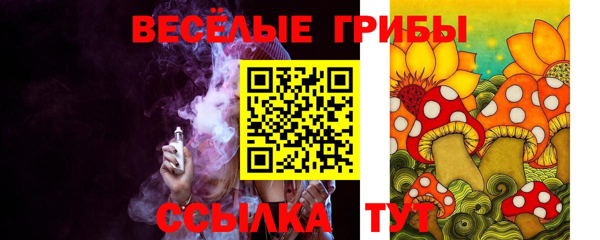 Псилоцибиновые грибы Psilocybine cubensis Светлоград
